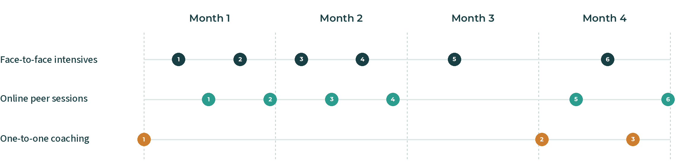 Four-month timeline: six face-to-face intensives roughly every fortnight, alternating with six online peer sessions, plus one-to-one coaching at the start, in month three and at the end.